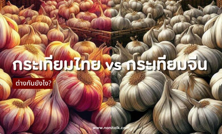 กระเทียมไทย vs กระเทียมจีน ต่างกันยังไง? เลือกแบบไหนดี?