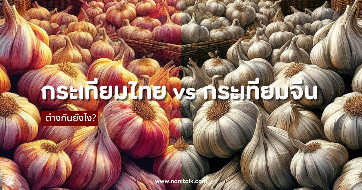 กระเทียมไทย vs กระเทียมจีน ต่างกันยังไง? เลือกแบบไหนดี?