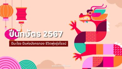 ปีนักษัตร 2567 ปีมะโรง ปีแห่งมังกรทอง ชีวิตพุ่งรุ่งโรจน์