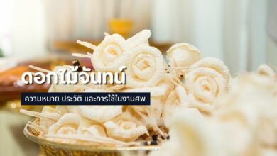 ดอกไม้จันทน์: ความหมาย ประวัติ และการใช้ในงานศพ