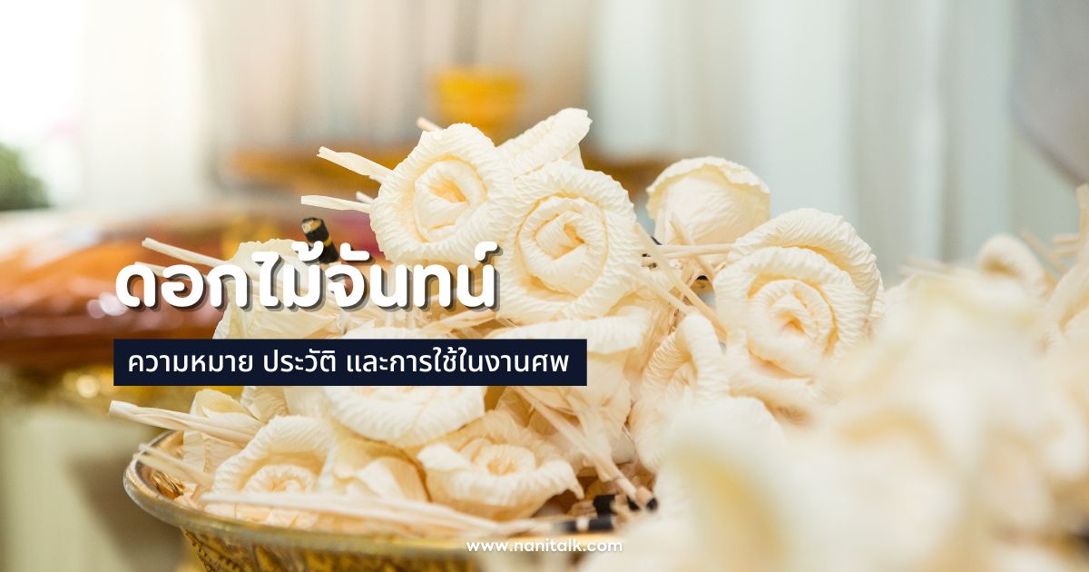 ดอกไม้จันทน์: ความหมาย ประวัติ และการใช้ในงานศพ