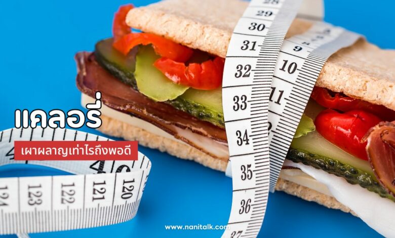 แคลอรี่: พลังงานขับเคลื่อนร่างกาย เผาผลาญเท่าไรถึงพอดี