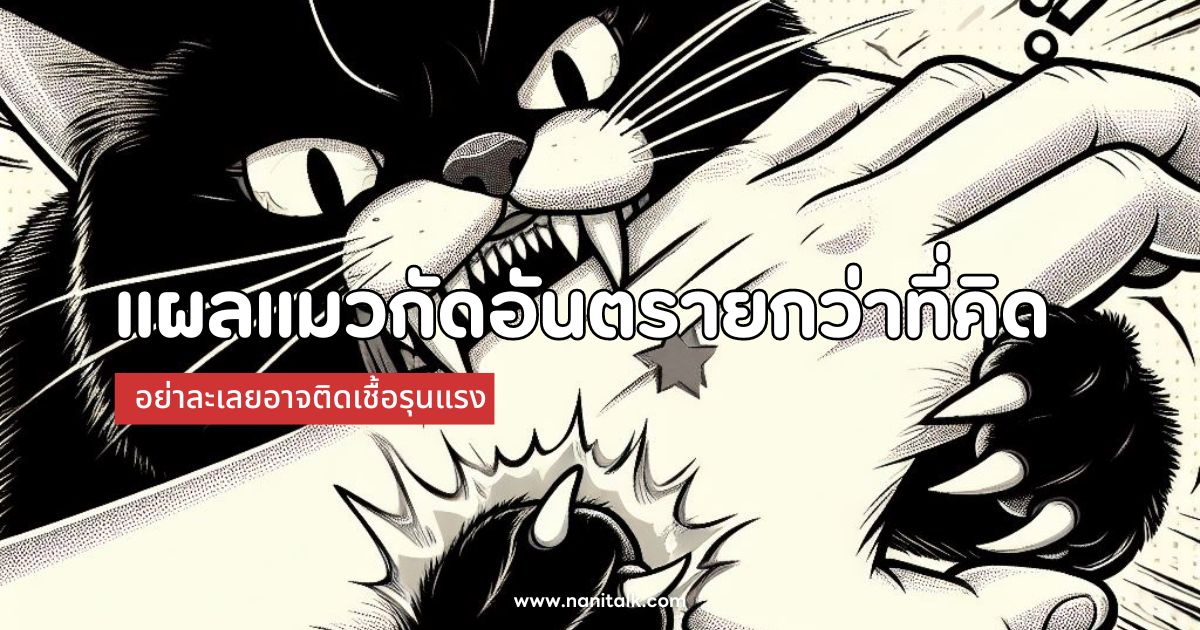 ระวัง! แผลแมวกัดอันตรายกว่าที่คิด อย่าละเลยอาจติดเชื้อรุนแรง