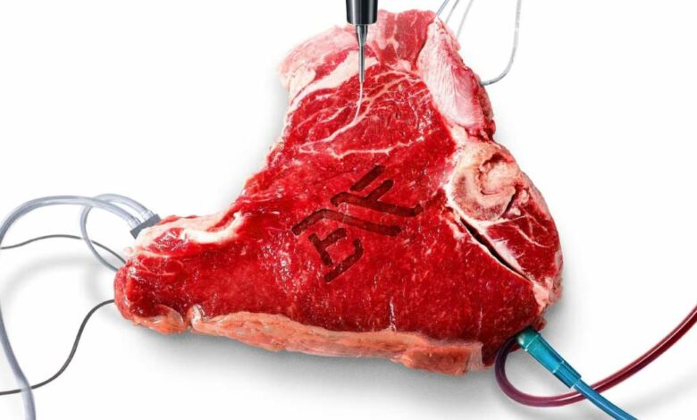 [รีวิว] Blood Free (2024) เนื้อเทียม เปลี่ยนโลก ชวนระทึก