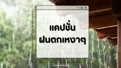 100 แคปชั่นฝนตกเหงาๆ โดนใจสายอ่อย อ้อนให้หายเหงา!