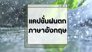 60 แคปชั่นฝนตกภาษาอังกฤษ สายฮา กดขำจิกเบาะ