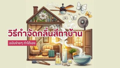 10 วิธีกำจัดกลิ่นสีทาบ้านให้หายเกลี้ยง ทำได้ง่ายๆ