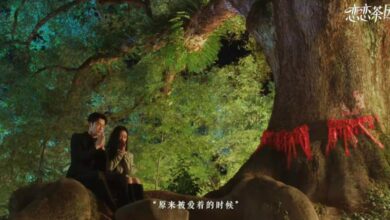 [รีวิวซีรีส์จีน] Love in the Tea Garden | 恋恋茶园 (2024)