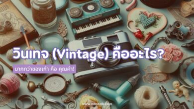 วินเทจ (Vintage) คืออะไร? มากกว่าของเก่า คือ คุณค่า!