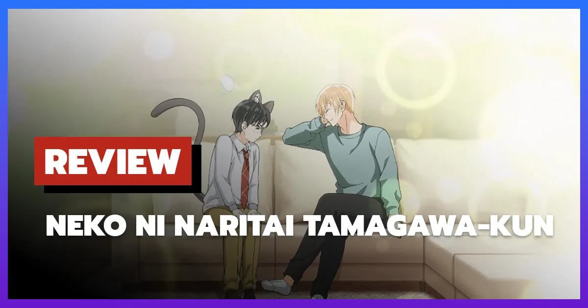 [รีวิว-เรื่องย่อ] อนิเมะวาย Neko ni Naritai Tamagawa-kun