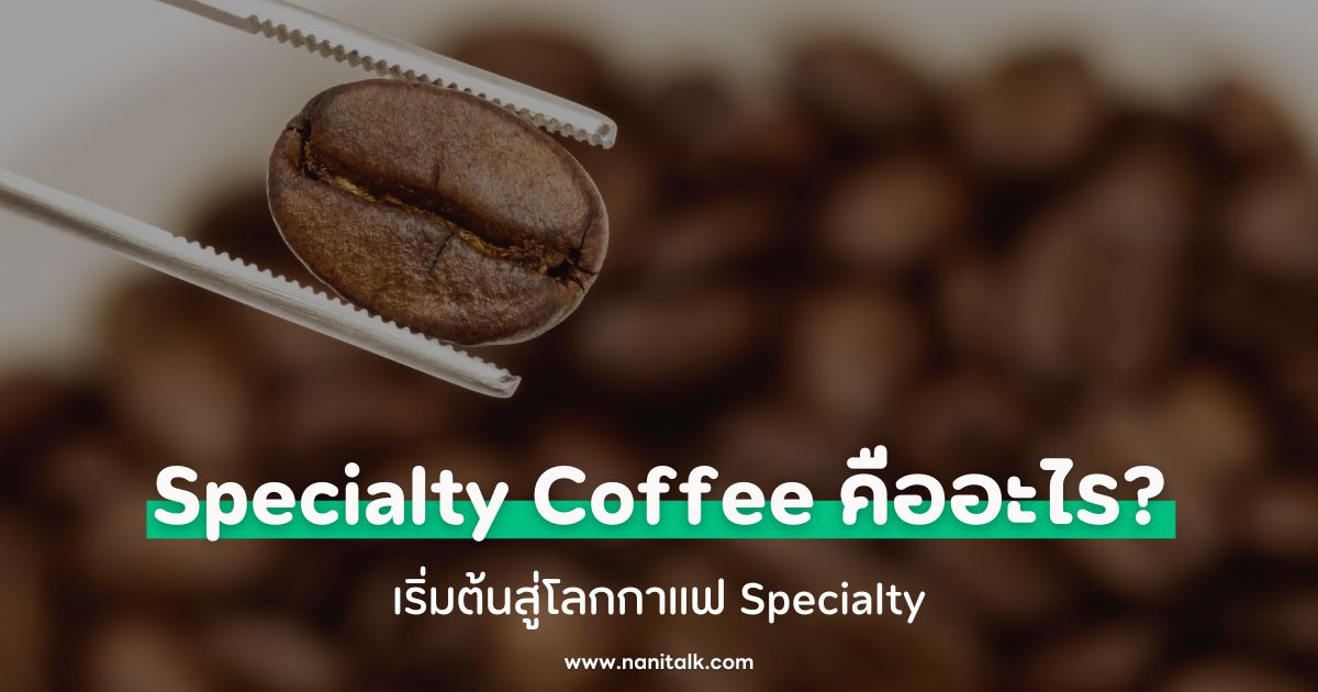 Specialty Coffee คืออะไร? เริ่มต้นสู่โลกกาแฟ Specialty