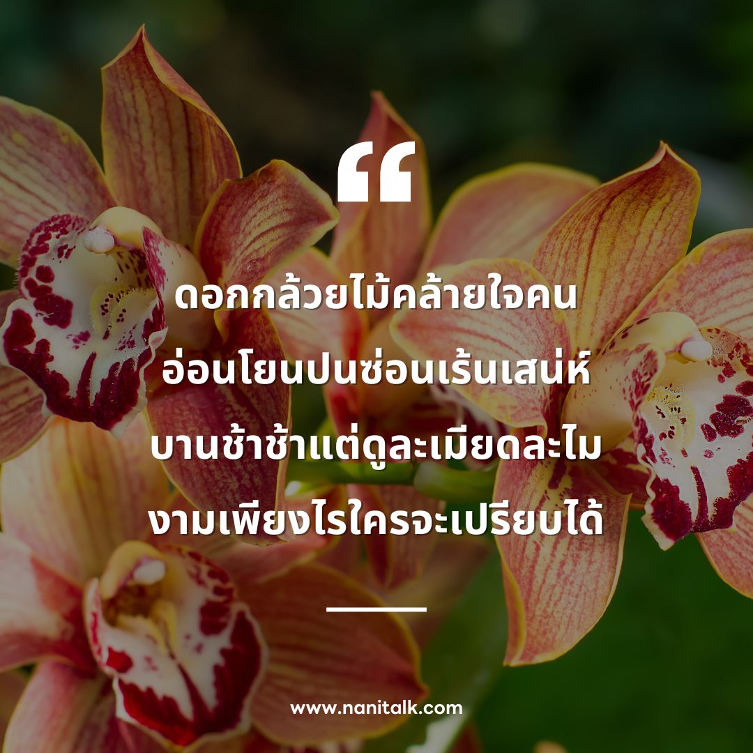ตัวอย่างกลอนดอกกล้วยไม้