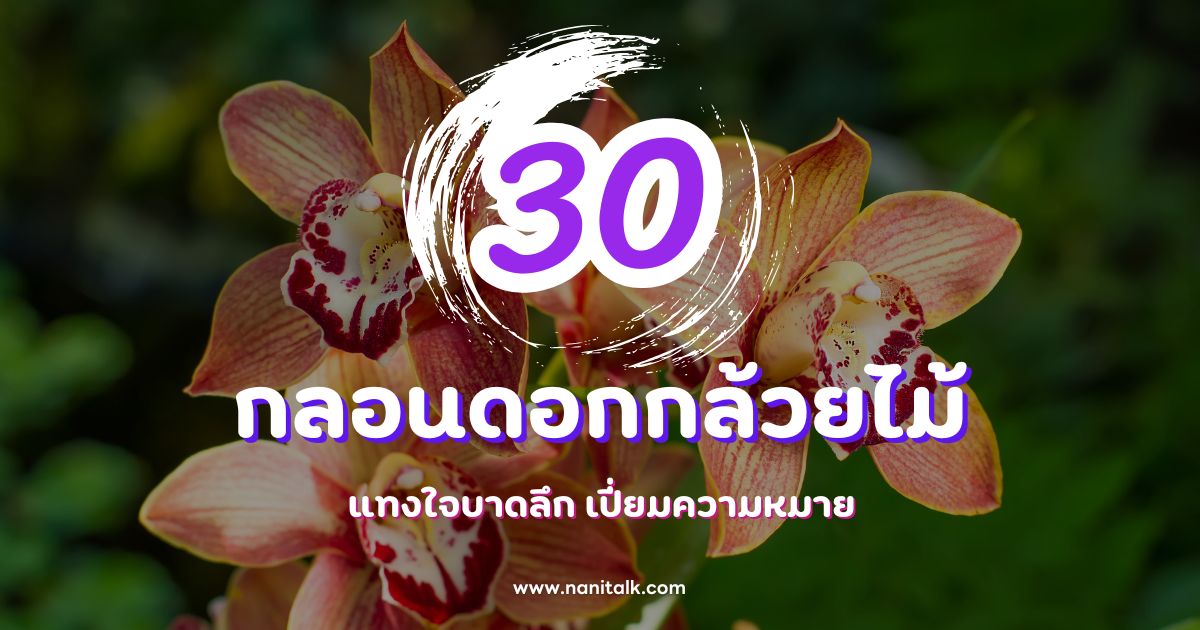 30 กลอนดอกกล้วยไม้ แทงใจบาดลึก เปี่ยมความหมาย