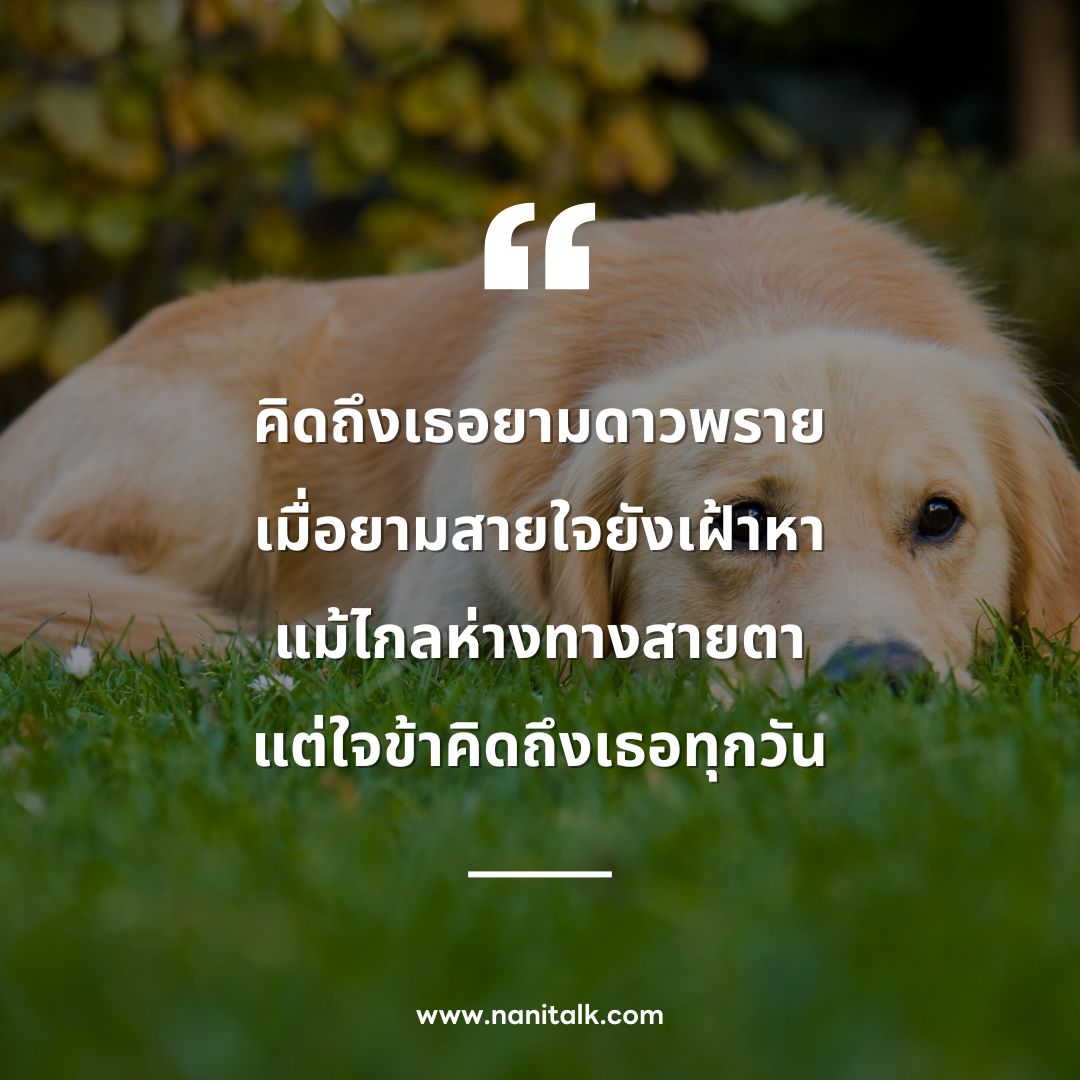 ตัวอย่างกลอนคิดถึงคนไกล