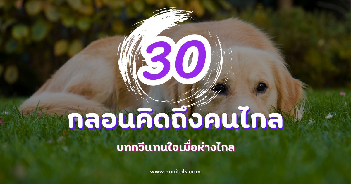30 กลอนคิดถึงคนไกล บทกวีแทนใจเมื่อห่างไกล