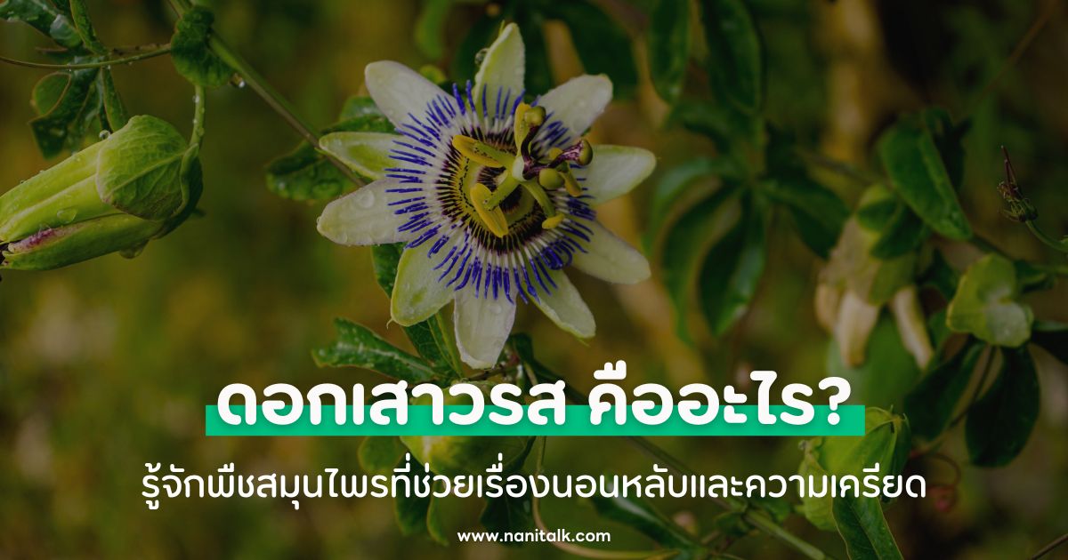 ดอกเสาวรส (Passion Flower) คืออะไร? รู้จักพืชสมุนไพรที่ช่วยเรื่องนอนหลับและความเครียด