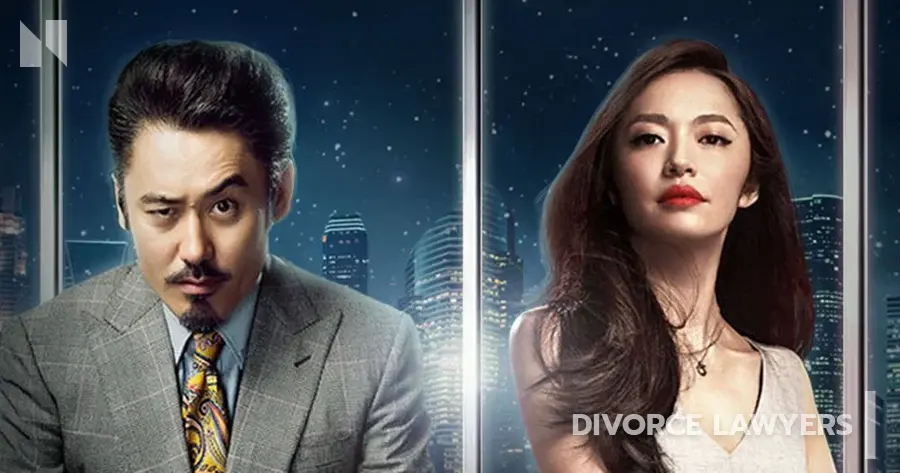 Divorce Lawyers (2014)