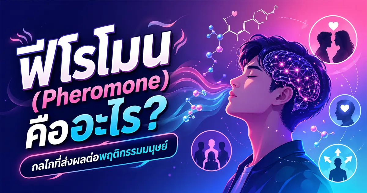 ฟีโรโมน (Pheromone) คืออะไร? กลไกที่ส่งผลต่อพฤติกรรมมนุษย์