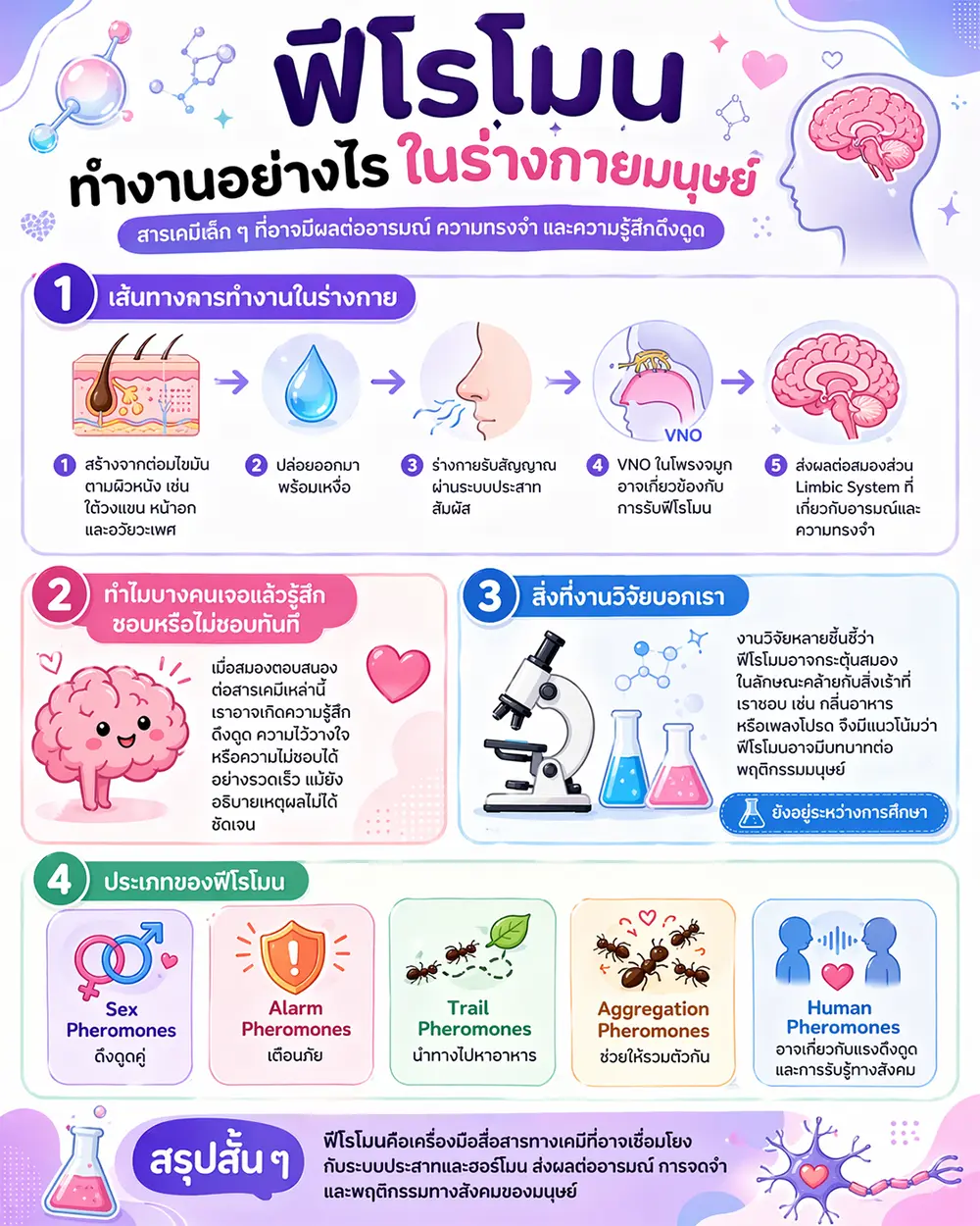 ฟีโรโมนทำงานอย่างไรในร่างกายมนุษย์?