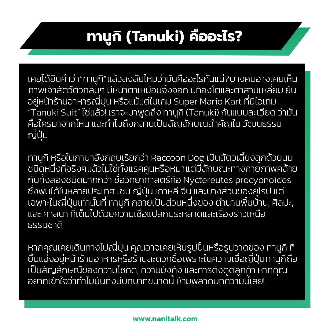 ทานูกิ (Tanuki) คืออะไร?