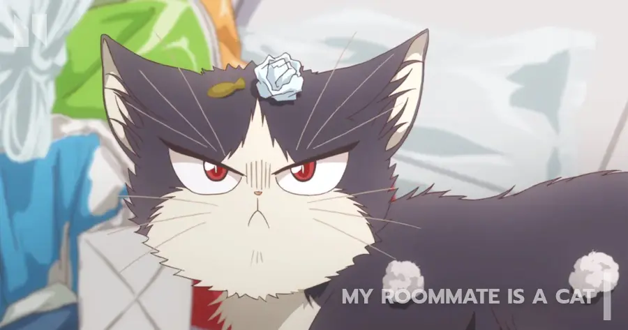 My Roommate is a Cat