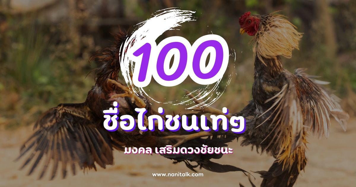 100 ชื่อไก่ชนเท่ๆ และชื่อไก่มงคล เสริมดวงชัยชนะ