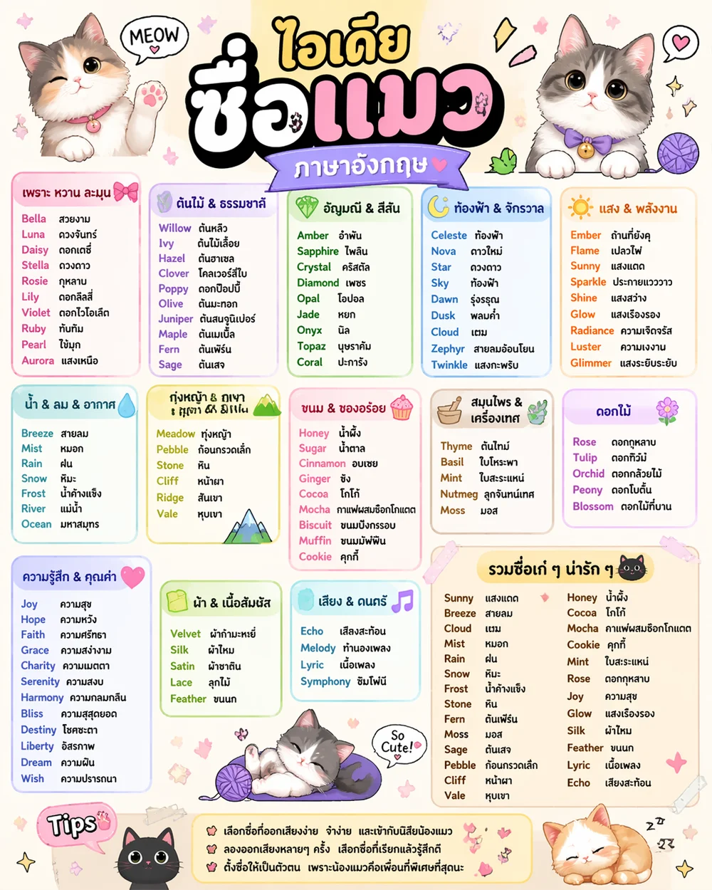 ไอเดียชื่อแมวภาษาอังกฤษ