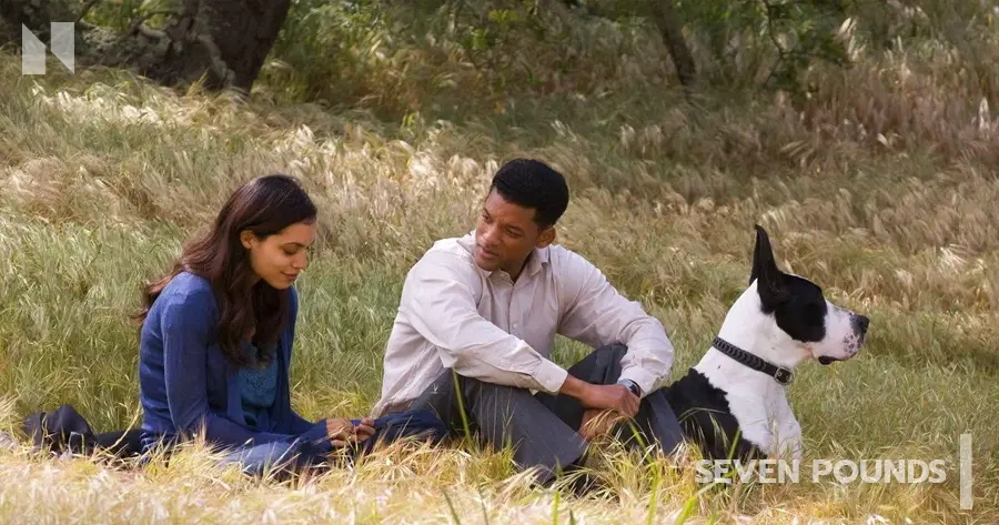 Seven Pounds (2008)