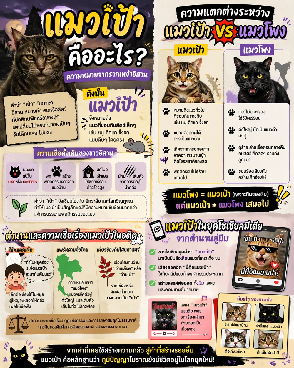 แมวเป้า คืออะไร? ความหมายจากรากเหง้าอีสาน