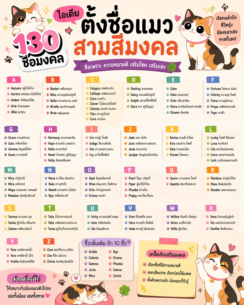ไอเดียตั้งชื่อแมวสามสีมงคล