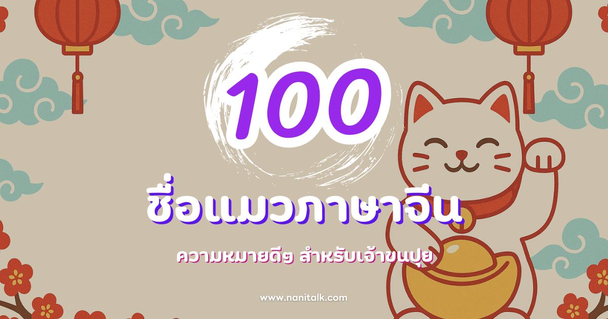 100 ชื่อแมวภาษาจีนมงคล ความหมายดีๆ สำหรับเจ้าขนปุย