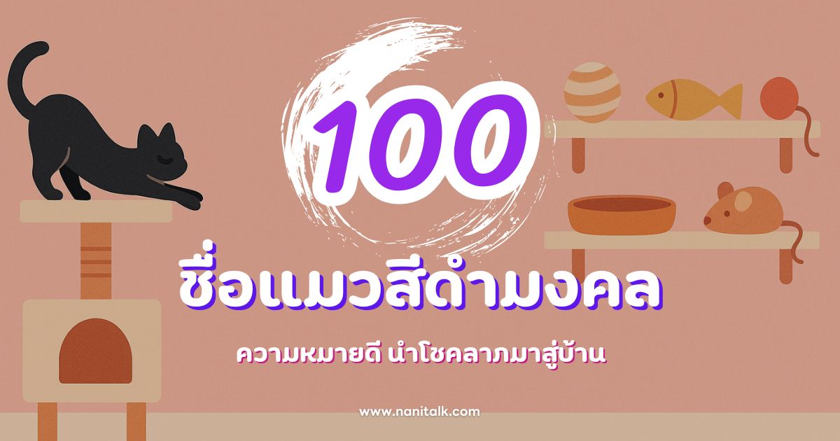 100 ชื่อแมวสีดำมงคล ความหมายดี นำโชคลาภมาสู่บ้าน