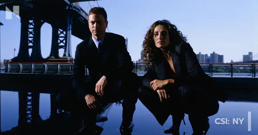 CSI NY