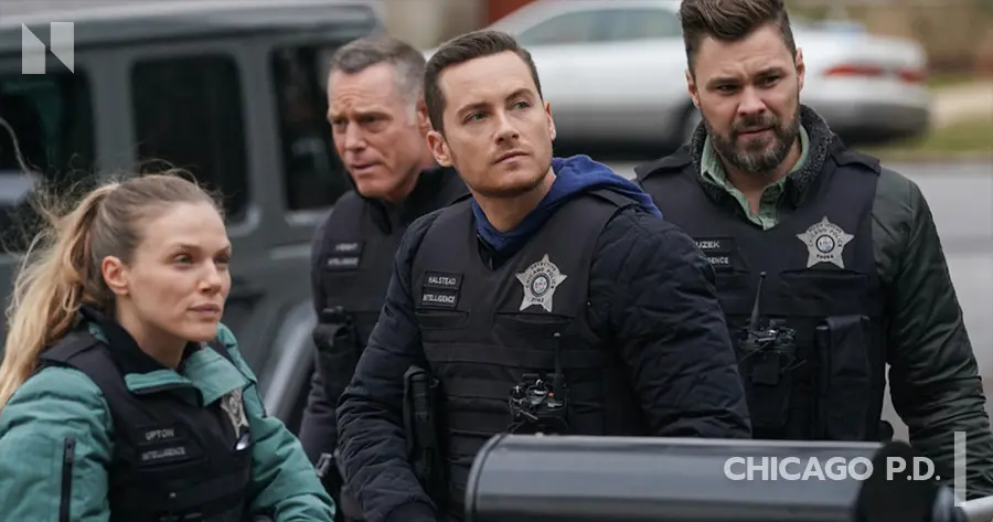 Chicago P D (2014)