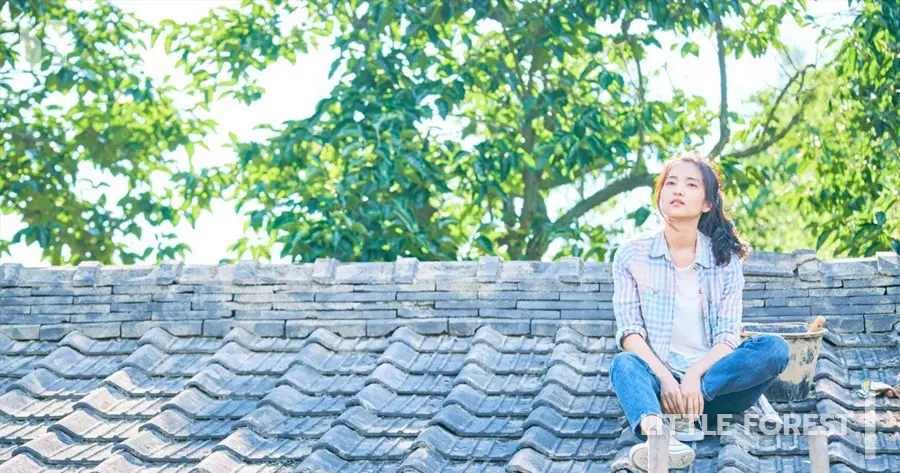 Little Forest (ลิตเติ้ลฟอเรสต์)