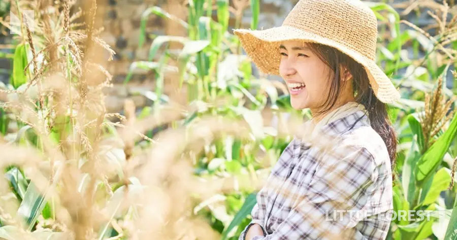 Little Forest (ลิตเติ้ลฟอเรสต์)