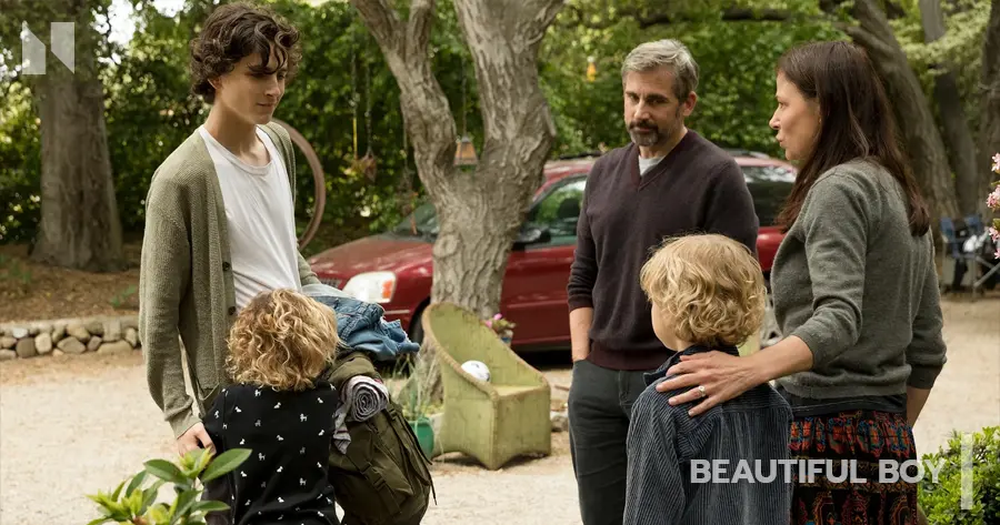 Beautiful Boy (2018)