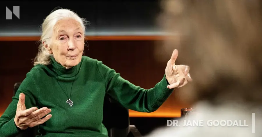 Famous Last Words Dr Jane Goodall (2025) #2