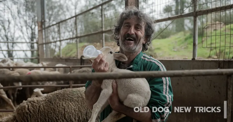 Old Dog, New Tricks (2025) #2