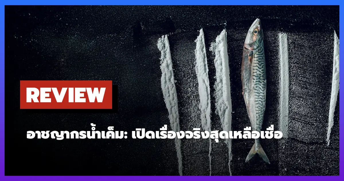 [รีวิว-เรื่องย่อ] Turn of the Tide: The Surreal Story of Rabo de Peixe (2025)