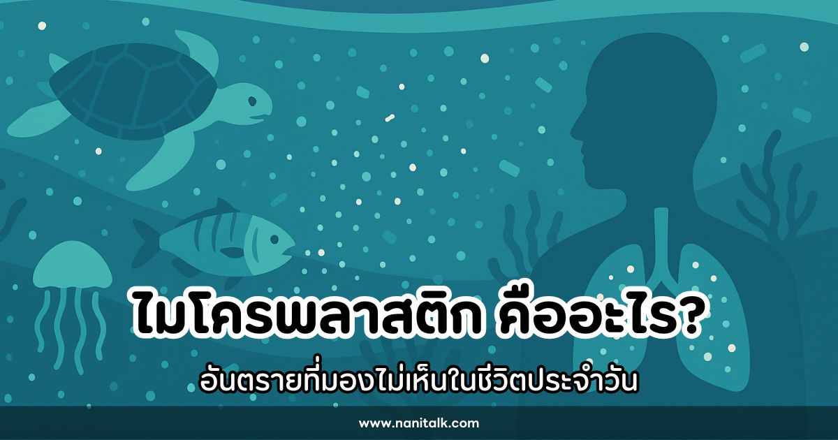 ไมโครพลาสติก (Microplastics) อันตรายที่มองไม่เห็นในชีวิตประจำวัน