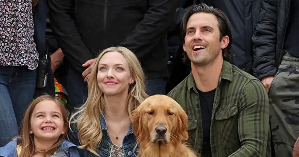 The Art of Racing in the Rain