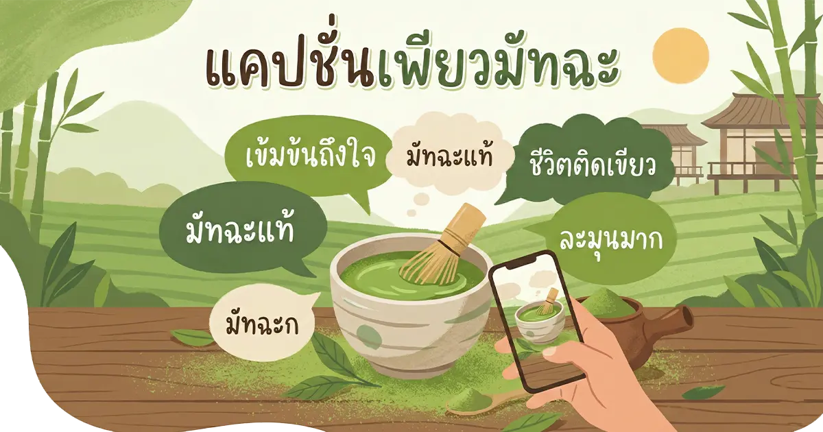 200 แคปชั่นเพียวมัทฉะ %thyear% / %currentyear% โพสต์ปัง เรียกไลก์กระจาย