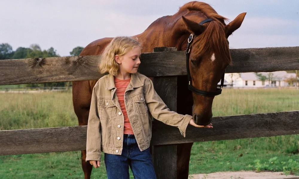 Dreamer (2005)