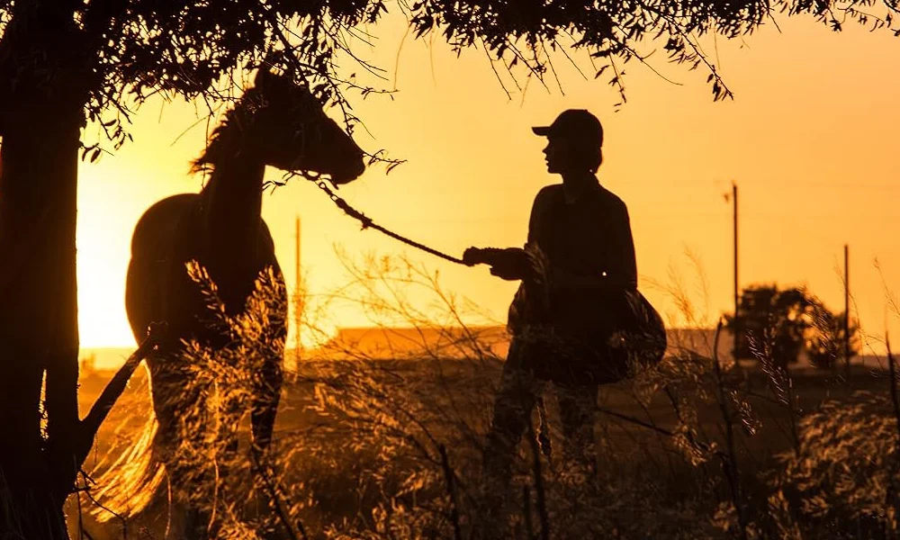 Lean on Pete (2017)