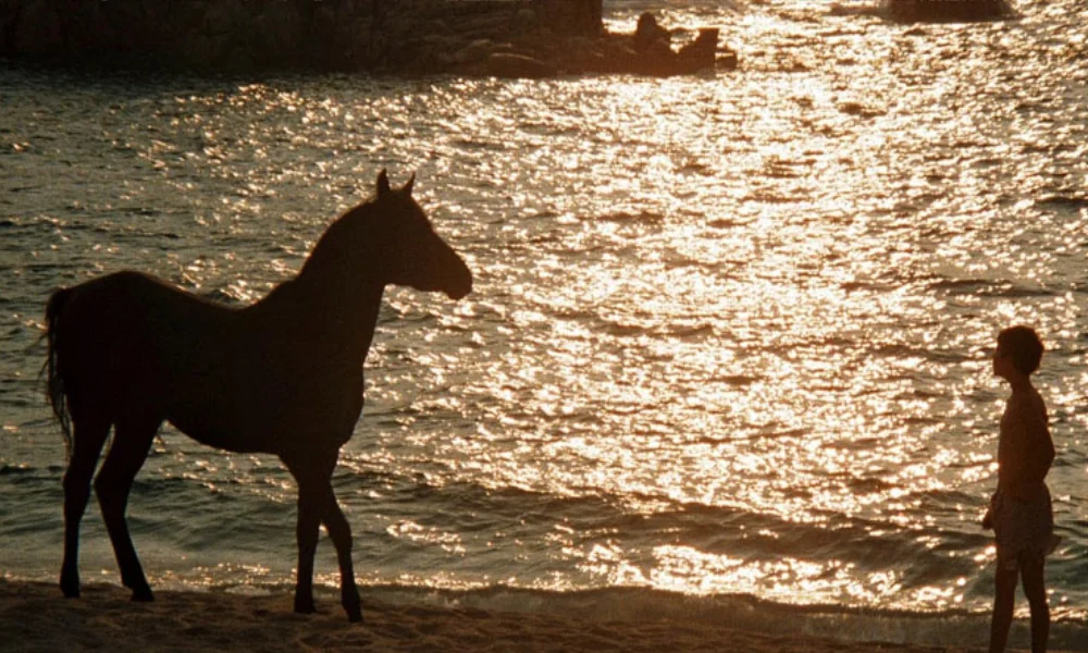 The Black Stallion (1979)