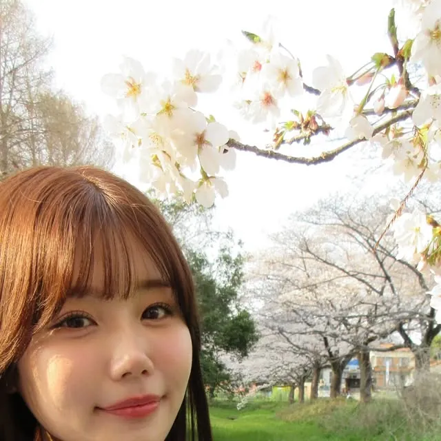 Miu Mirai ยืนถ่ายภาพกลางสวนซากุระในแสงธรรมชาติ