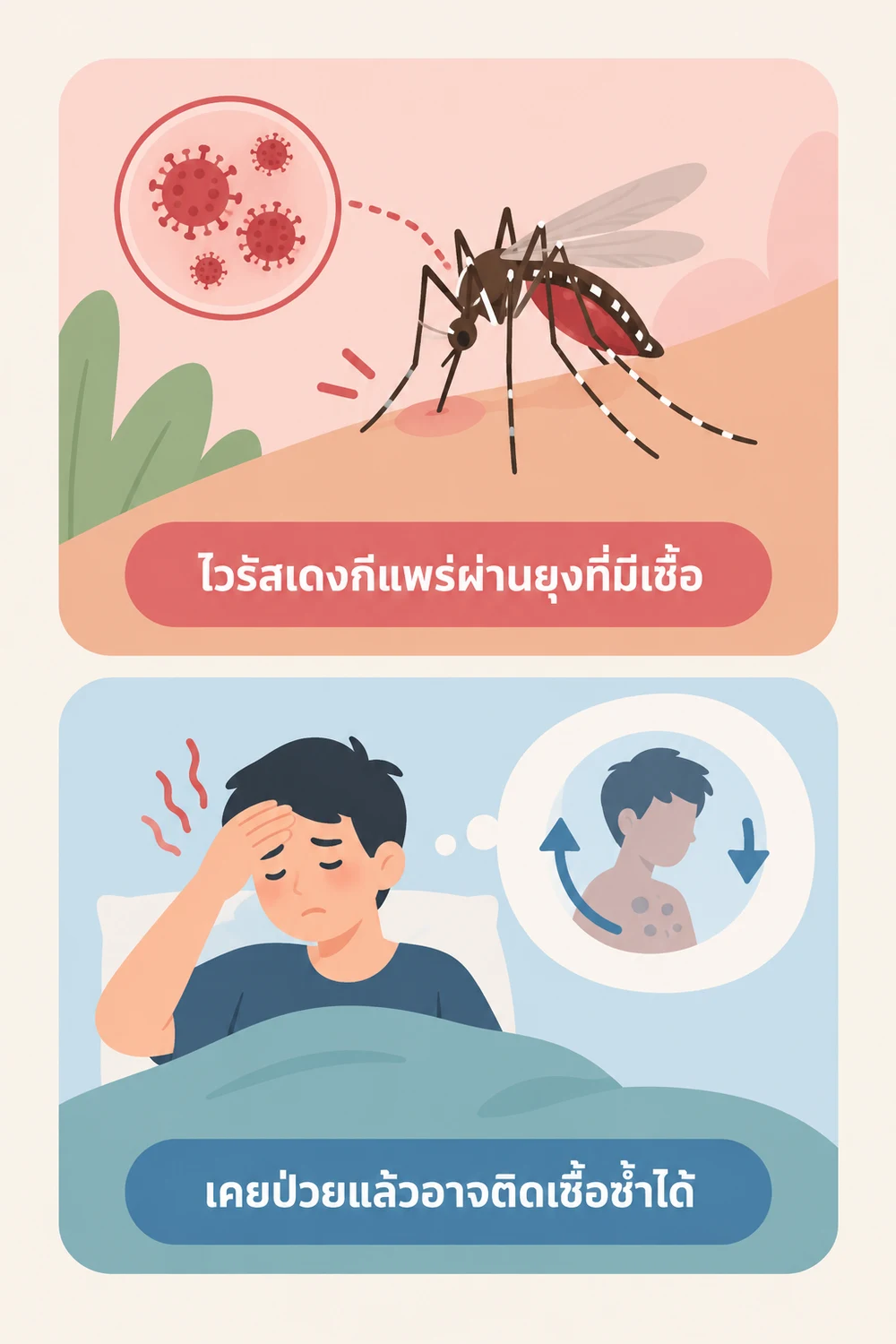 ไข้เลือดออกเกิดจากอะไร และใครมีความเสี่ยง