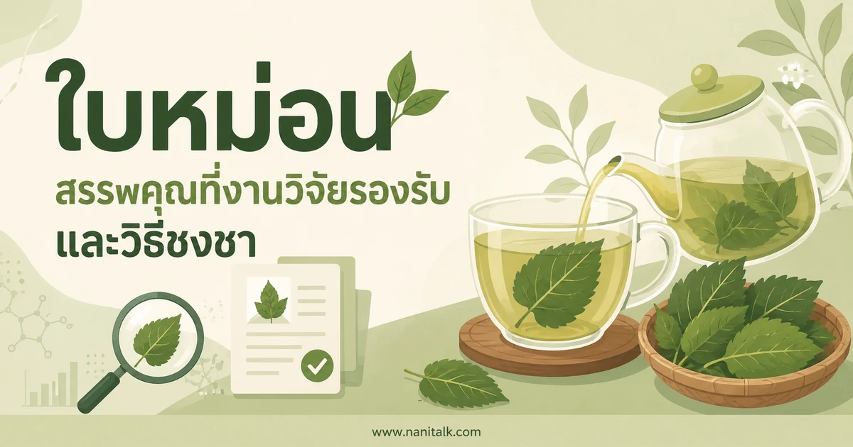 ใบหม่อน สรรพคุณและประโยชน์ วิธีชงชา ข้อควรระวังที่ต้องรู้