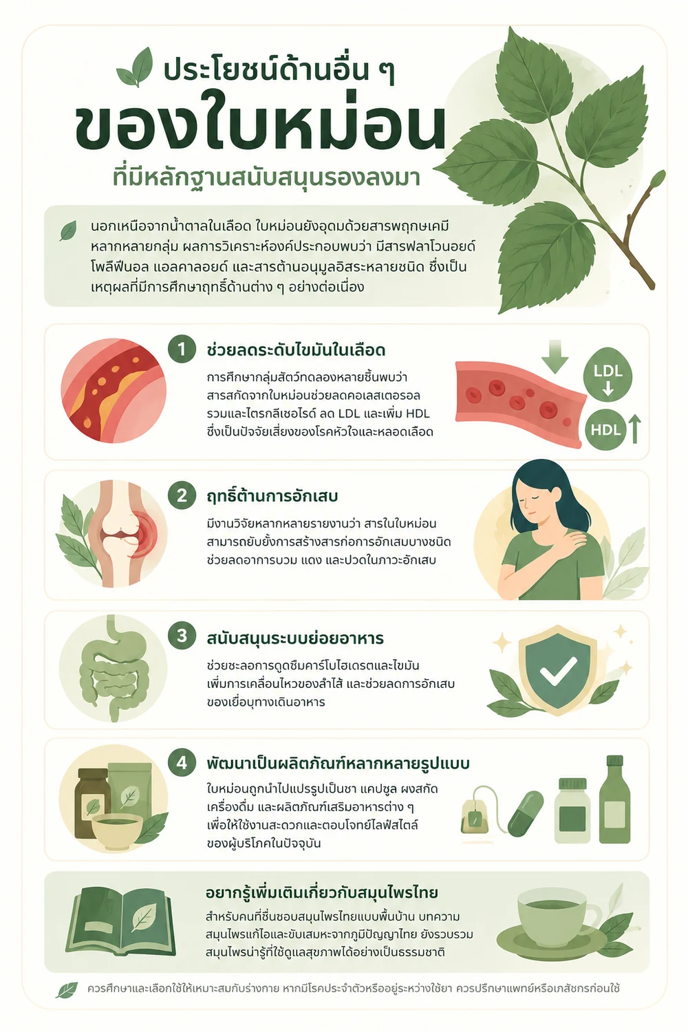 ประโยชน์ด้านอื่น ๆ ของใบหม่อน ที่มีหลักฐานสนับสนุนรองลงมา